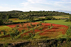 Cliquez ici pour voir l'image (aragon_79.JPG)