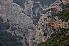 Cliquez ici pour voir l'image (aragon_82.JPG)