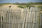 Cliquez ici pour voir l'image (gorge_72.JPG)