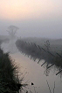 Cliquez ici pour voir l'image (marais_63.JPG)