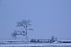 Cliquez ici pour voir l'image (paysage_206.JPG)