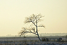 Cliquez ici pour voir l'image (paysage_207.JPG)
