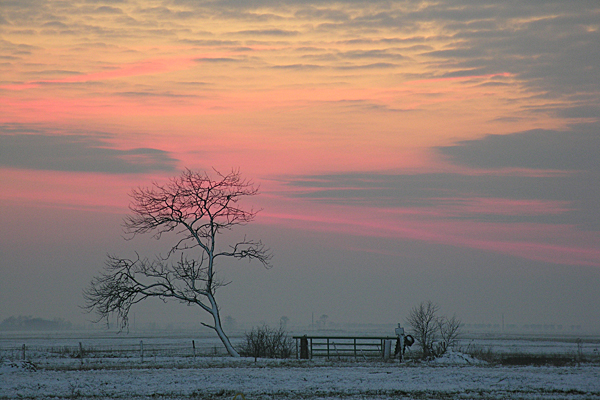 paysage 208