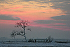 Cliquez ici pour voir l'image (paysage_208.JPG)