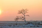 Cliquez ici pour voir l'image (paysage_209.JPG)