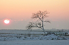 Cliquez ici pour voir l'image (paysage_210.JPG)