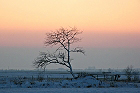 Cliquez ici pour voir l'image (paysage_211.jpg)